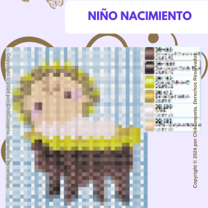 Niño Nacimiento